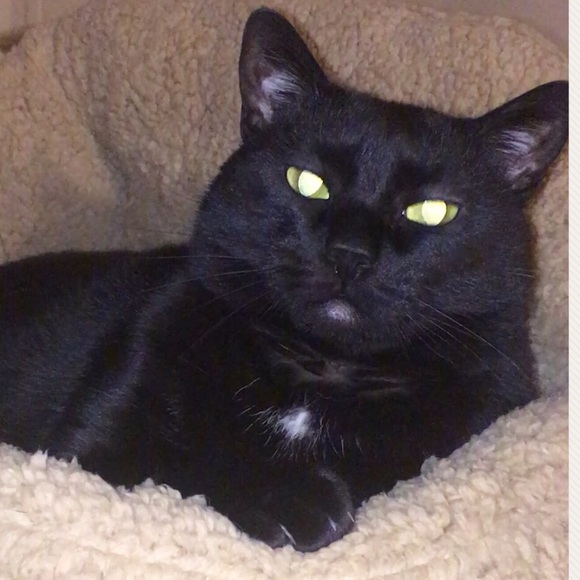 Meet your Posher, Courtney - Picture 1 of 1